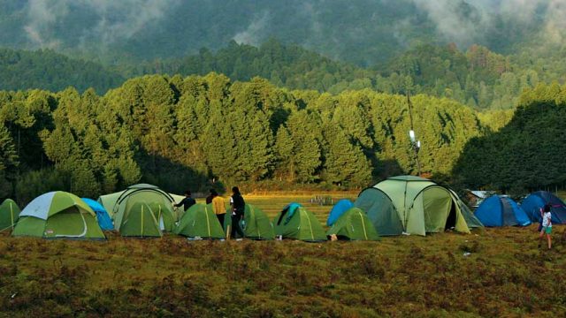 Verdant hills around Ziro