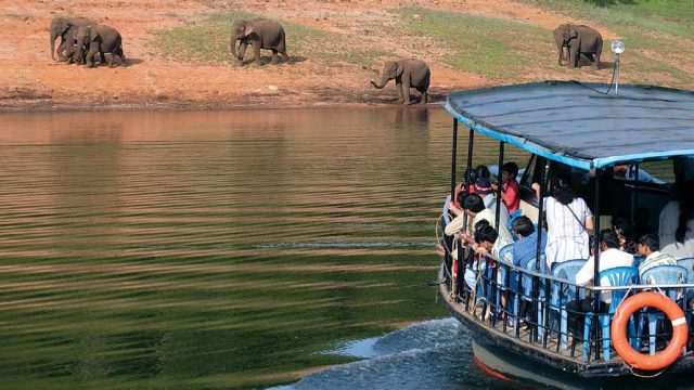 A boat ride is a convenient way to spot wildlife along the lake