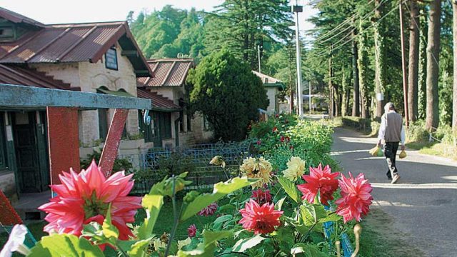 A picturesque path lined with tree and flowers, a common sight in Mukteshwar