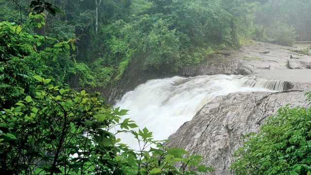 Thick jungle flanks Kanthanpara Falls on both sides