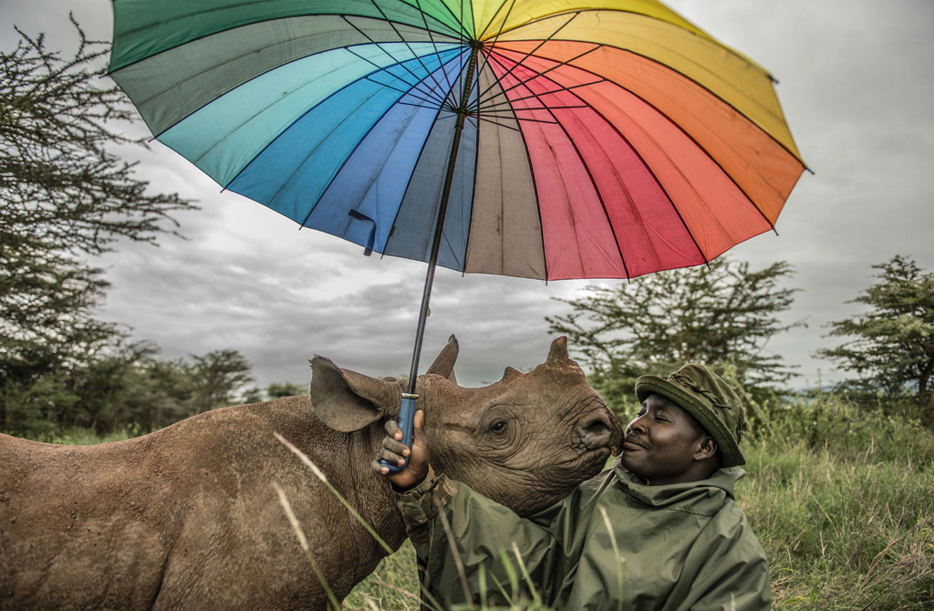 Kamara is nuzzled by 18-month-old black rhino Kilifi at Lewa Wildlife Conservancy in Kenya. Kamara spends 12 hours every day caring for this and two other baby rhinos.