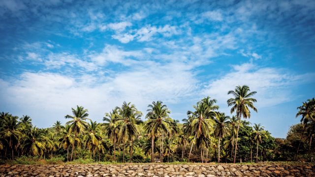 The Bhogave beach