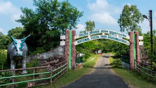 Entrance to the Ghughwa National Fossil Park