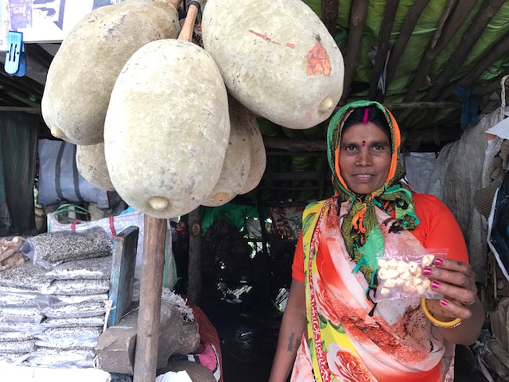 Mandu has giant baobab trees gifted by the Sultans of Egypt. They bear the giant tamarind locally called “Khorasani imli”, whose seeds are dried, powdered, and used in curries