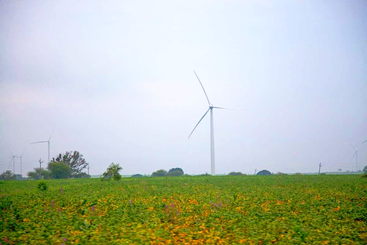 Windmills by the wayside