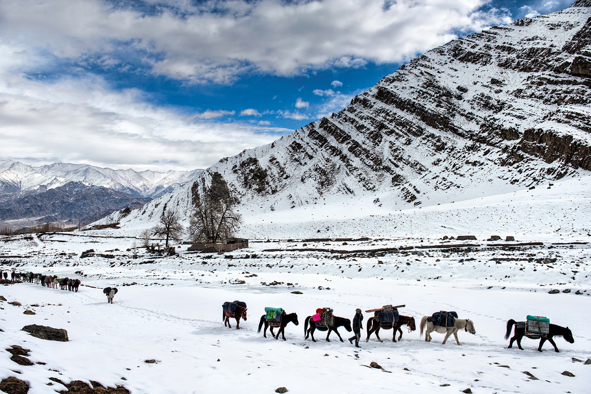 Our pack horses, laden with supplies and necessities like tents and climbing gear,make their way through Stok village. The snow was thick enough for us to begin our trek from the roadhead in snow boots. Our shoulders were thankful we didn’t have to carry them, though we couldn’t say the same for our feet.