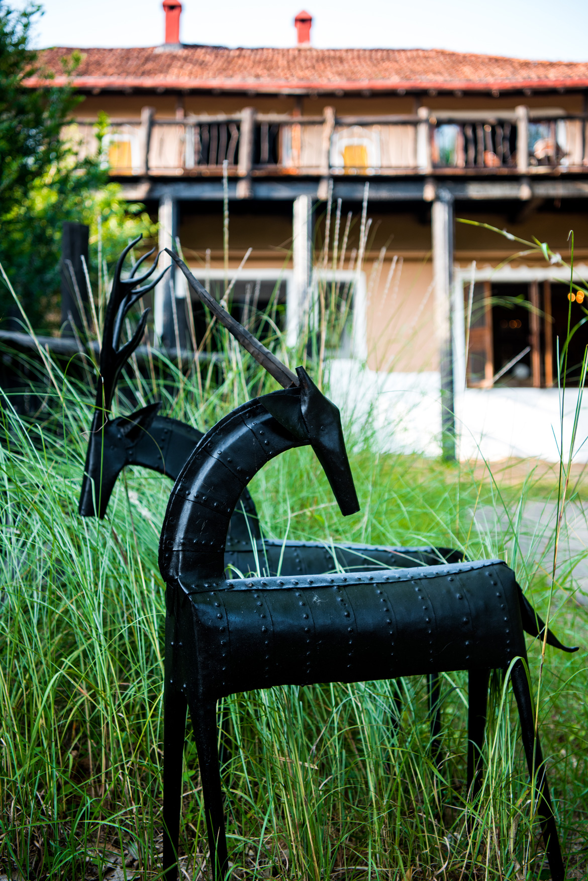 Samode Safari Lodge is filled with sculptures made by local tribe and other locals’ belongings