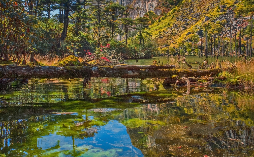 The Sangestar Tso Lake is located on the way from Tawang town to Bum La Pass in Tawang district of Arunachal Pradesh. The untouched beauty of the Northeast was immortalised for the first time in the Shahruh-Madhuri starrer Koyla in the 90s