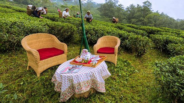 A cosy setting at the Ging Tea House