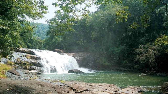 Thommankuthu Eco Tourism Centre