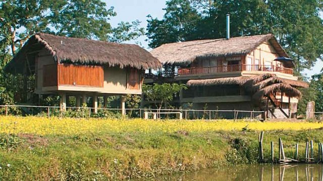 Diphlu River Lodge