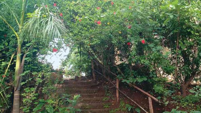 Verdant spaces at the farm