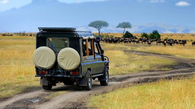 A game drive in Masai Mara is a wonderful experience