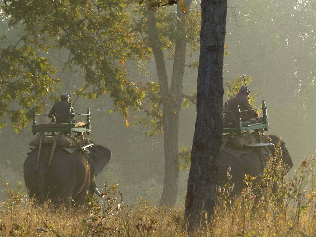 Forest Department's patrolling team at work early in the morning at Kanha National Park