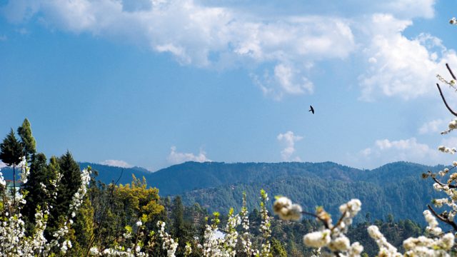 Mukteshwar in springtime