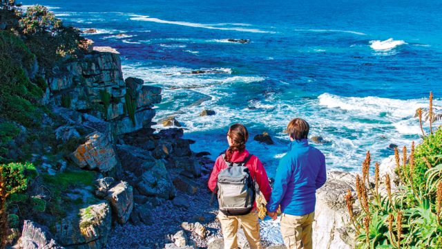 View of the ocean in Hermanus, South Africa