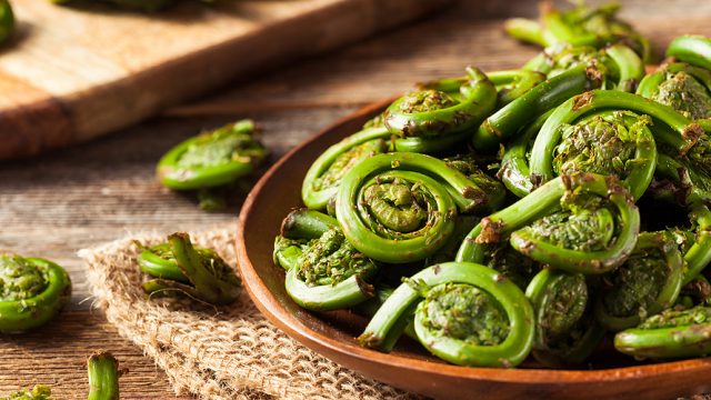 Fiddlehead fern, a local delicacy in Assam