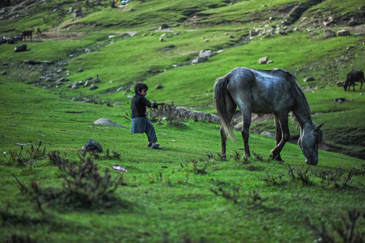 Among first lessons a young boy learns, is how to gently handle a horse