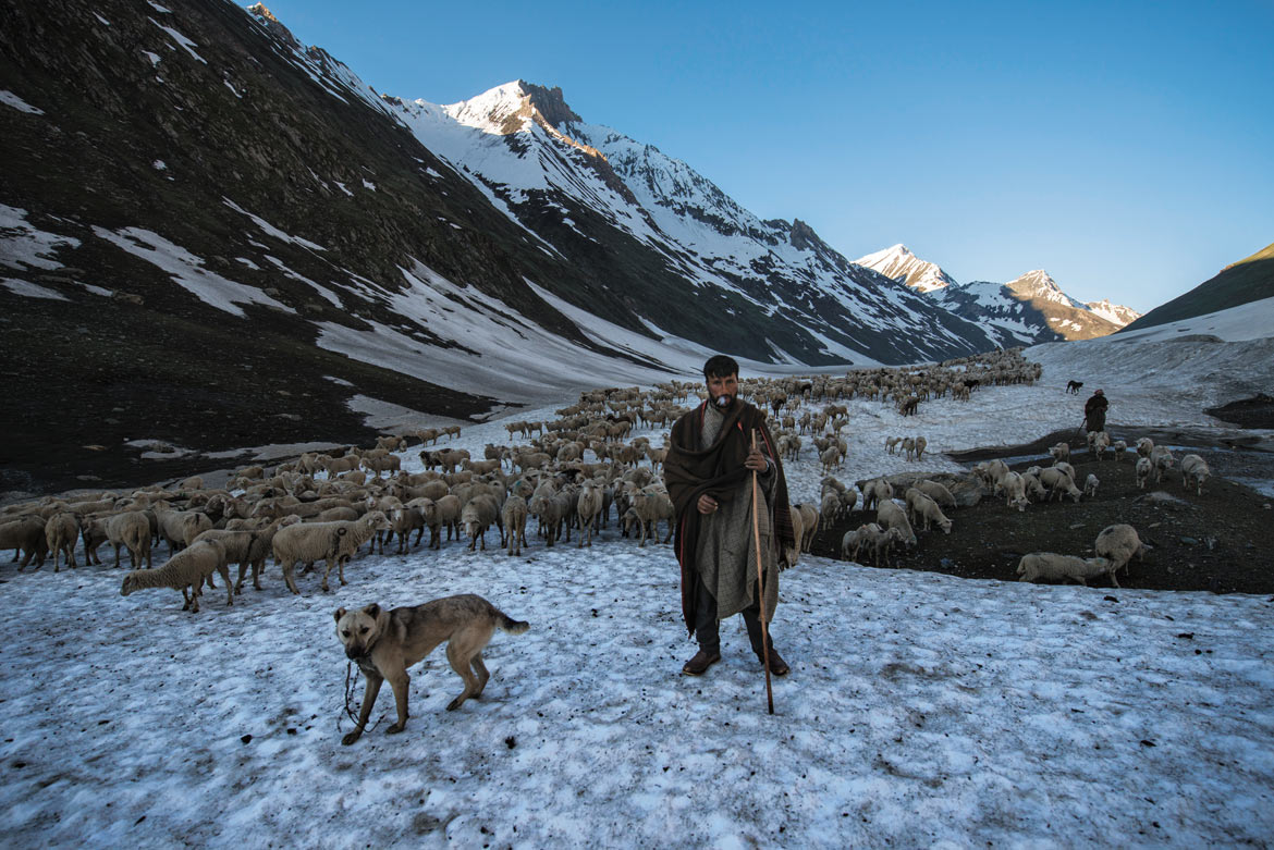 As spring creeps in, the Bakarwals begin their day's journey early. Snow, hardened by the cold of the night, is easier to tackle for man and sheep alike