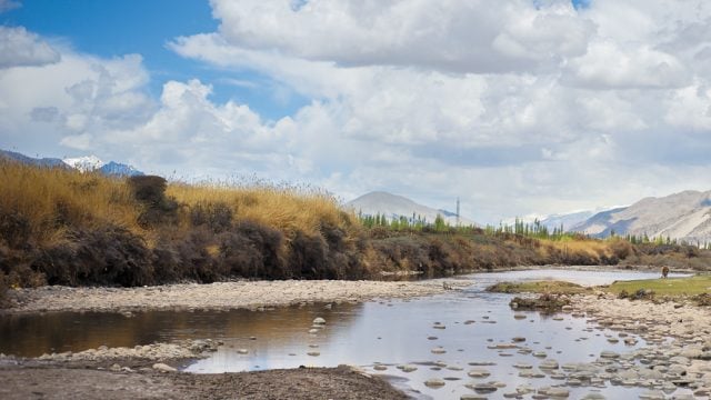 The majestic Indus flows by Leh, and runs a course through the rest of Ladakh