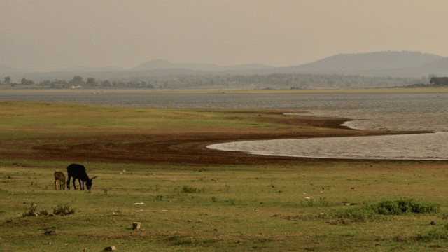 A view of the Kabini