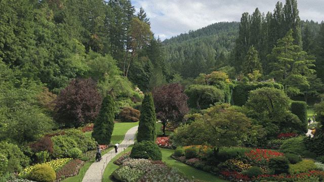 A view of the Sunken Garden at Butchart Garden