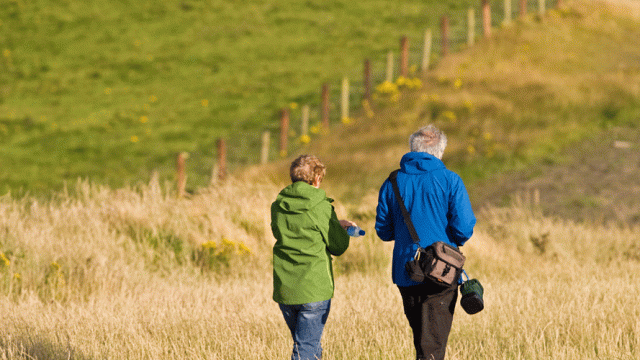 Senior citizens are eager to travel around the world!