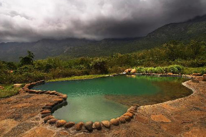 Magic of the wild: Masinagudi