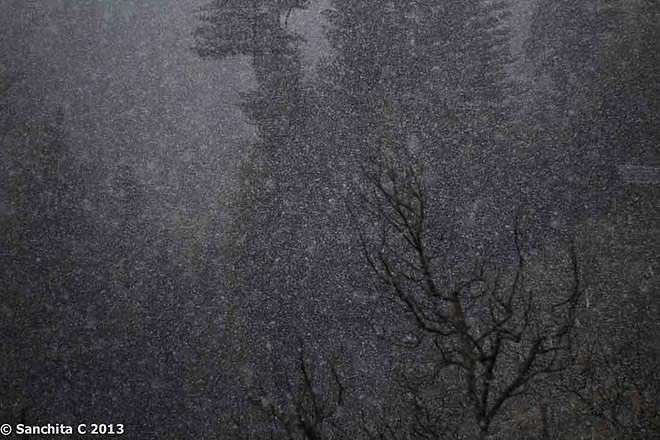 The sound of silence: Tirthan valley