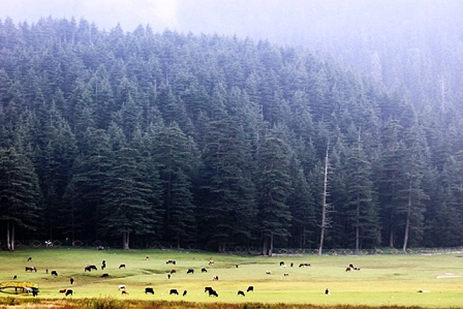 Nature and adventure at Khajjiar